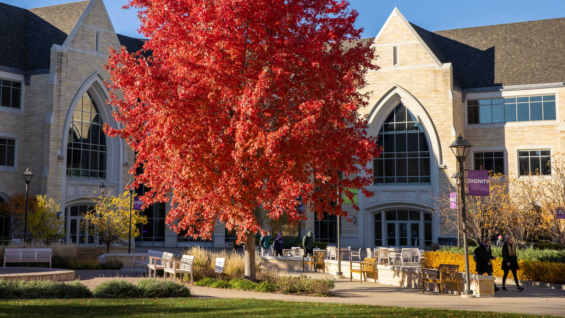 Ƶ campus in the fall
